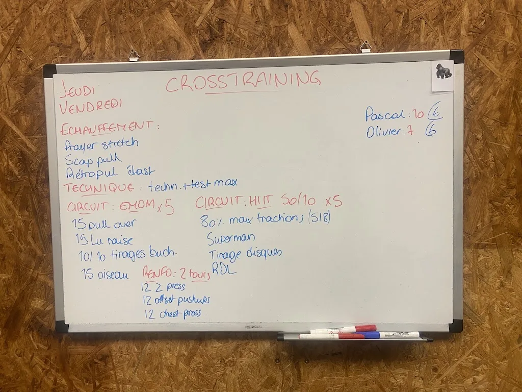 ESVL HALTERO MUSCU GYM - photo 2