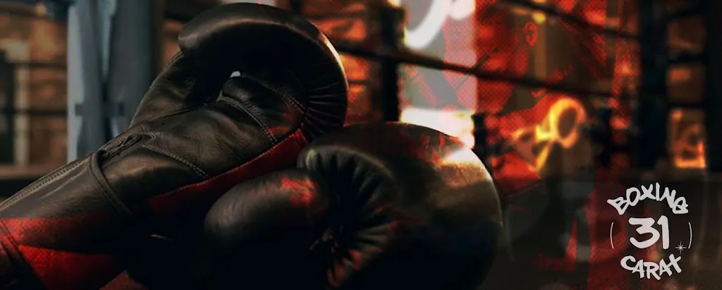 ASCG Multi Boxe - photo 3