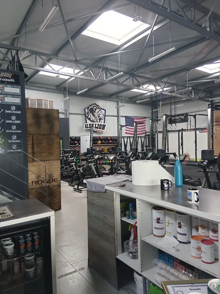 Blue Lion CrossFit - photo 3