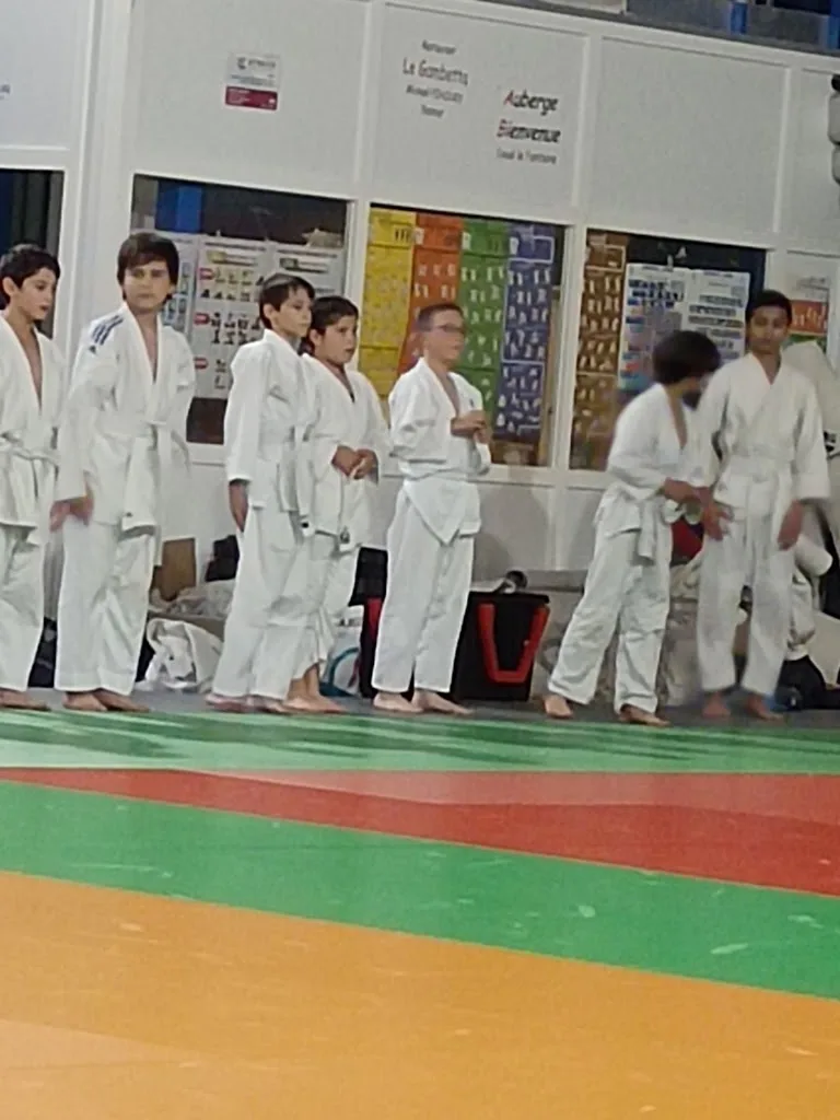Yoseikan Budo Saumur - photo 3