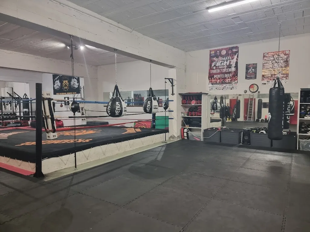 PITBULL GYM - photo 1