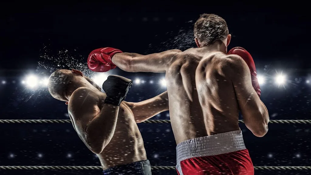 FIGHT & FITNESS ACADEMY | Salle de boxe - photo 2