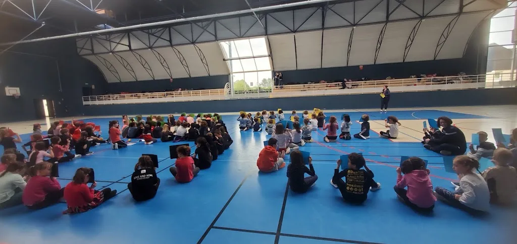 ussj gymsportive - photo 1
