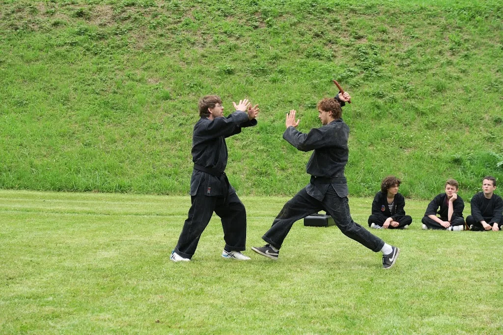 Viet Vo Dao Gasny - photo 2