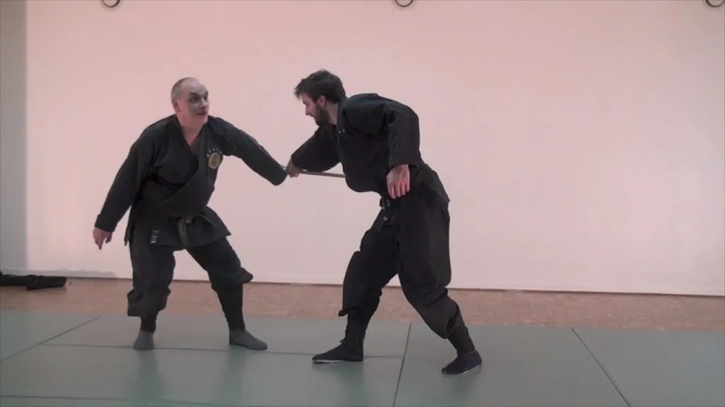 Nin-Jutsu Suresnes (Bujinkan) - photo 1