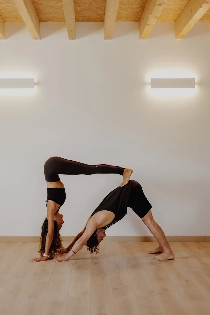 MOUVEMENT COLLECTIVE - photo 1