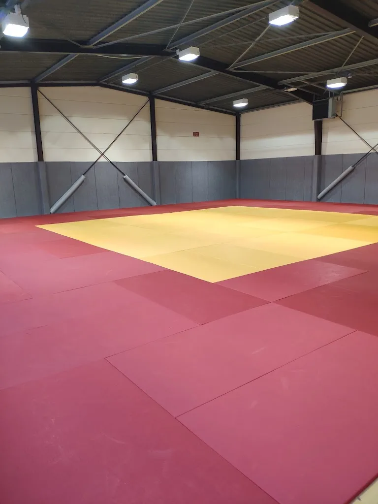 Meltin Fight Jiu Jitsu Brésilien JJB - photo 1