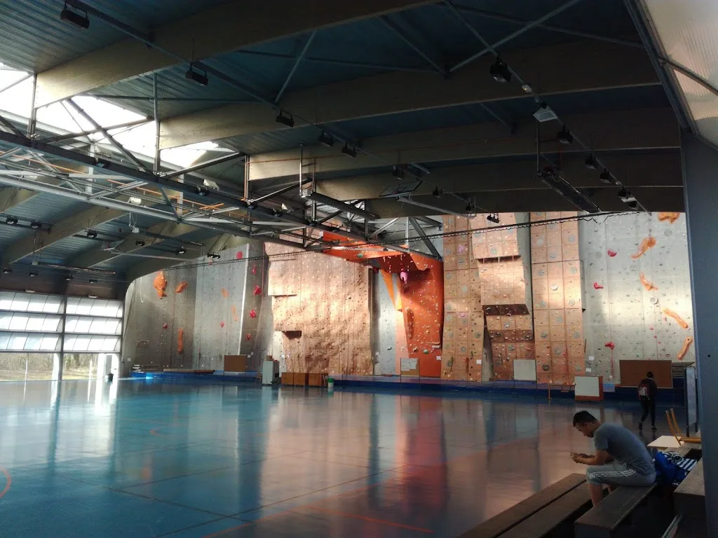 Salle de sport de l'IUT Nancy-Brabois - photo 1