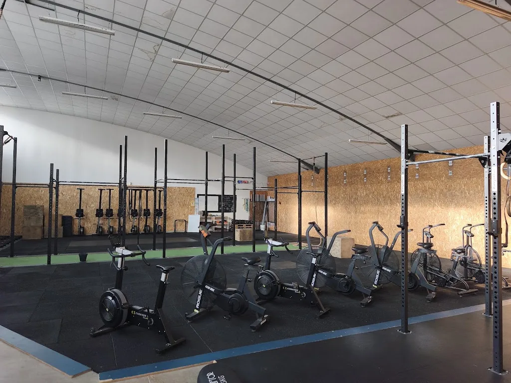 Wild Bear CrossFit & Hyrox - Vannes (56) / Bretagne - photo 3