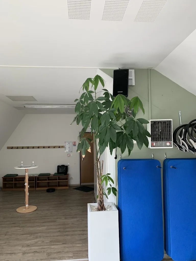 GYM FORM GARAZI - photo 2