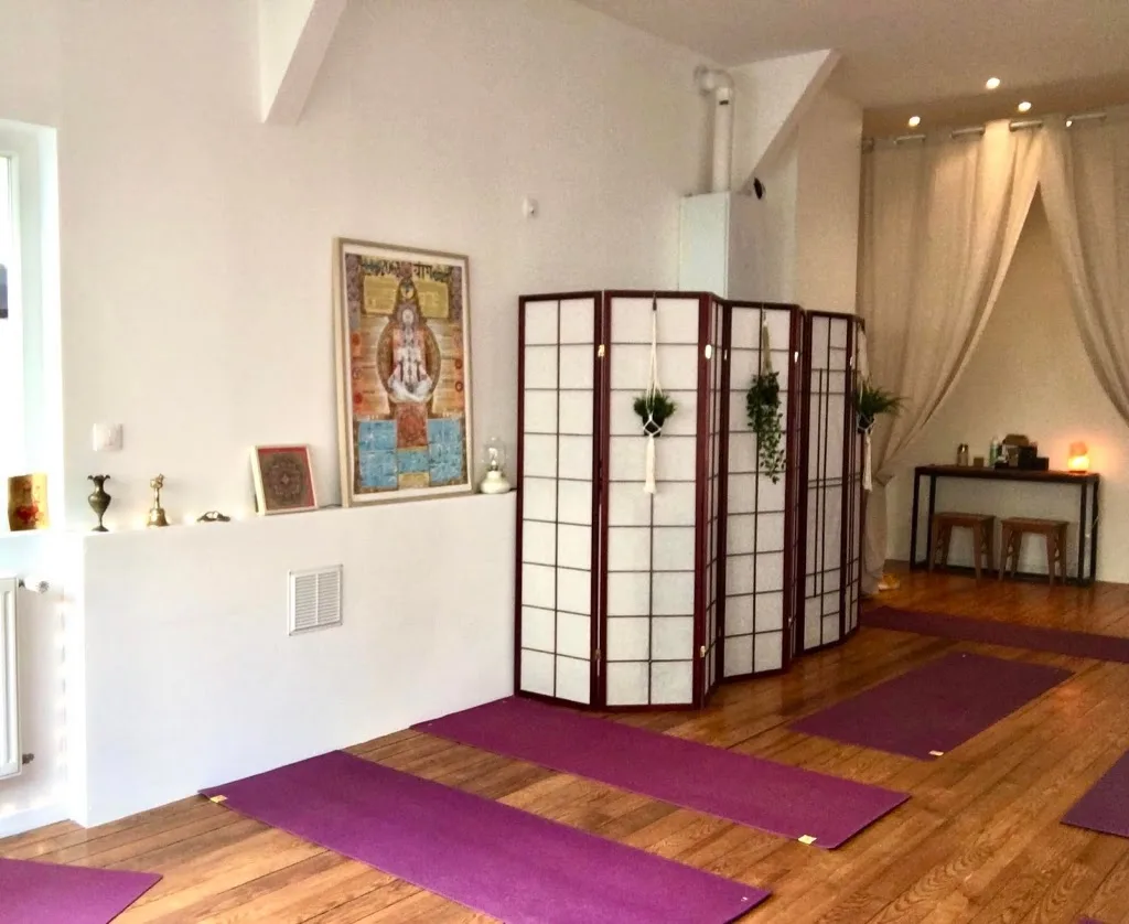Ecole Nouvelle Vivre en Yoga Crécy la Chapelle - photo 1