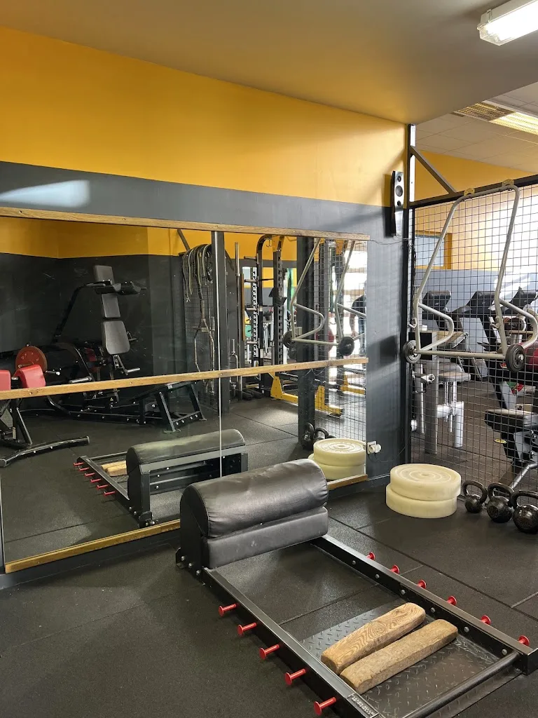 Force Fitness Musculation Ambertois - photo 1