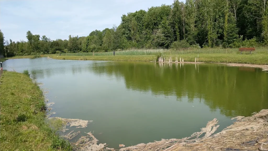 Sport plein air - photo 2