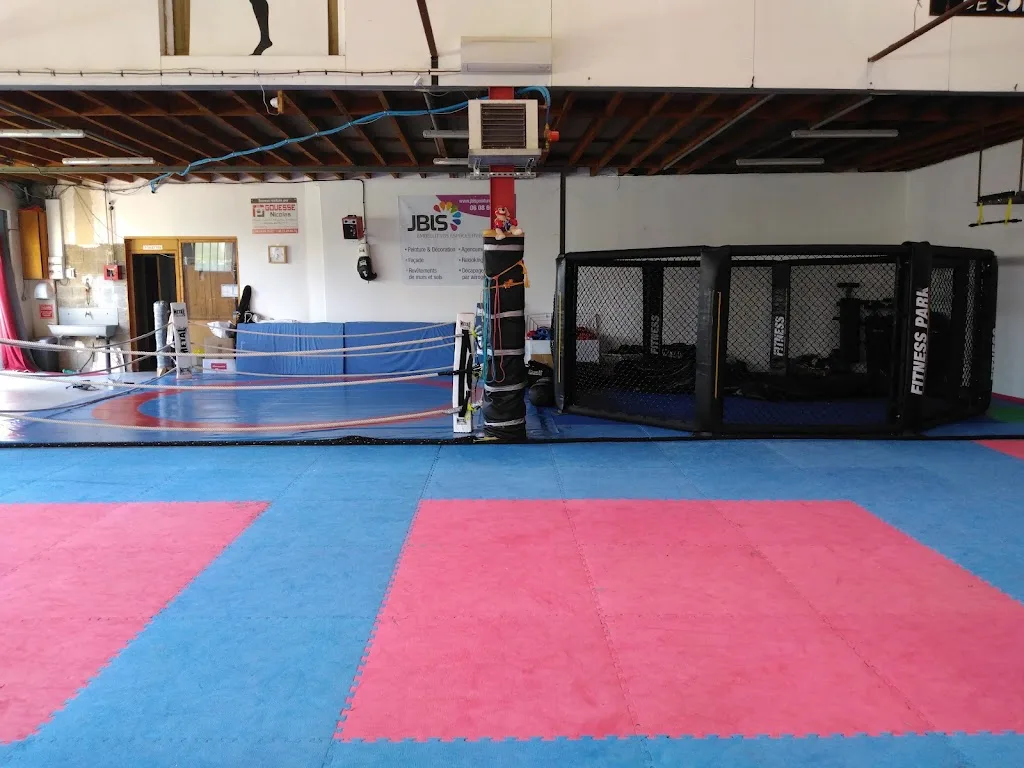 Fighting Self Defense - photo 1