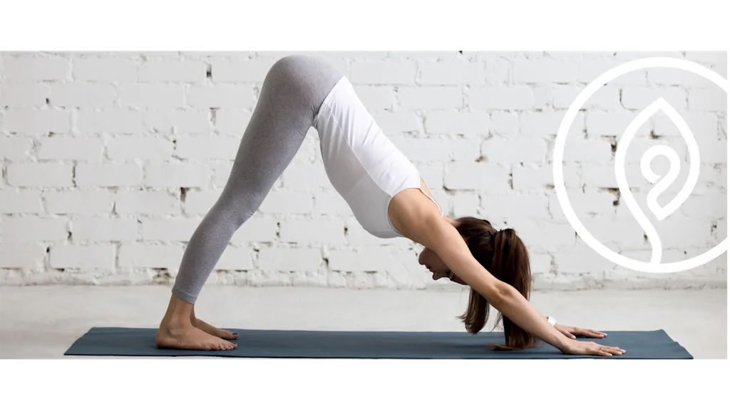STUDIO EVASION Pilates et Yoga - photo 1