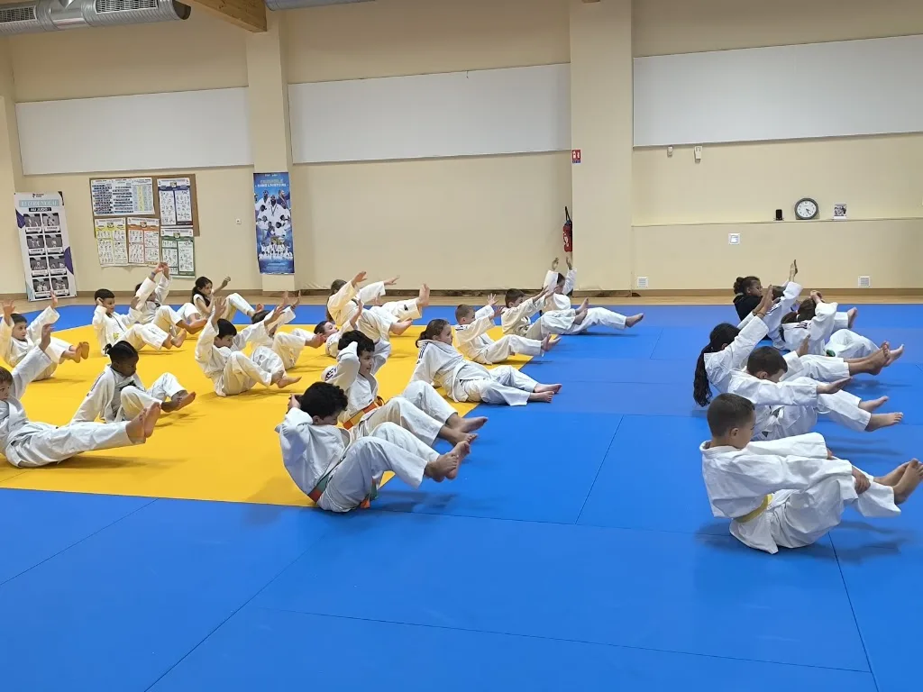 Dojo Roux - photo 1