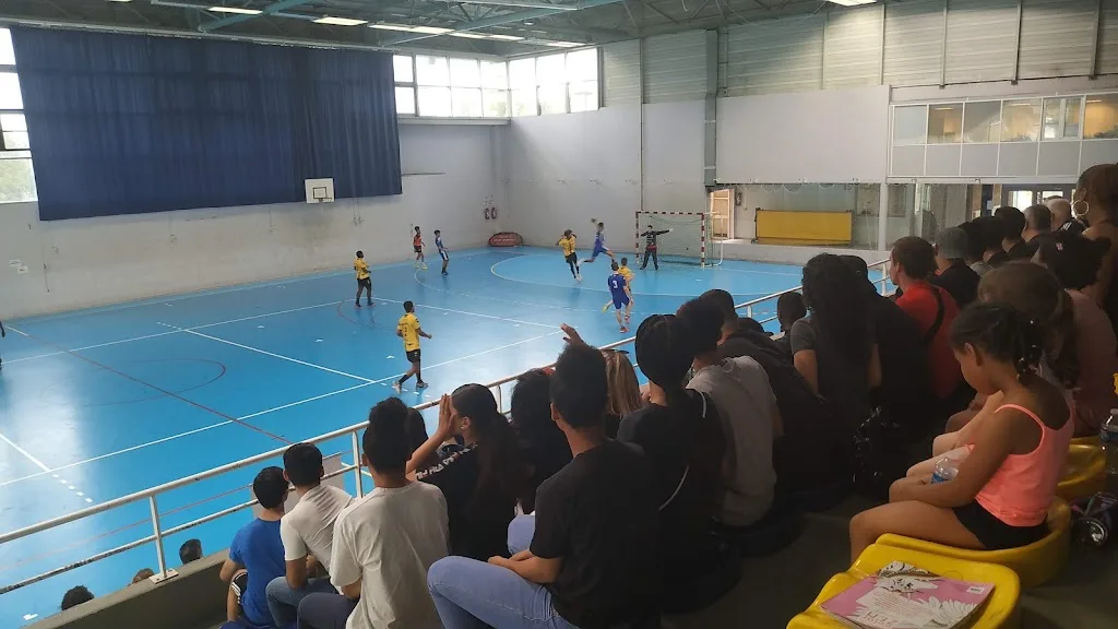 Ass Amis Gymnastes Aulnay Bois - photo 3