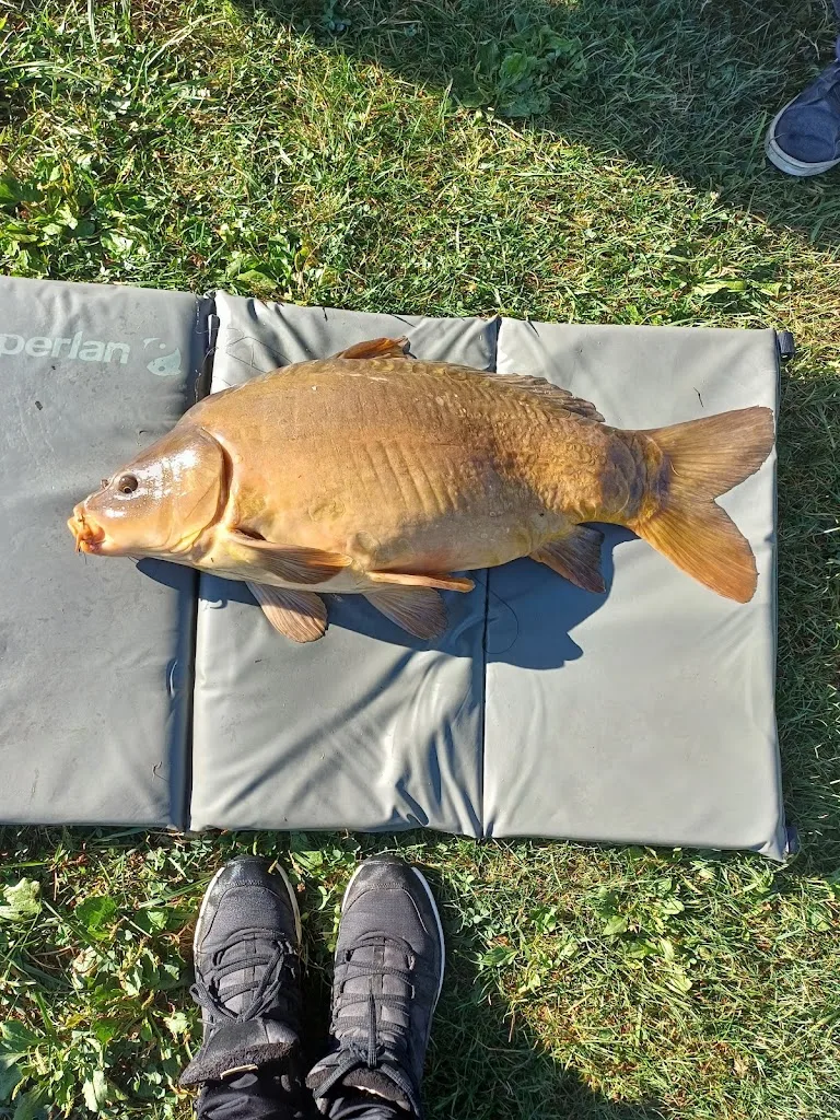 Etang de Malaucène - photo 5