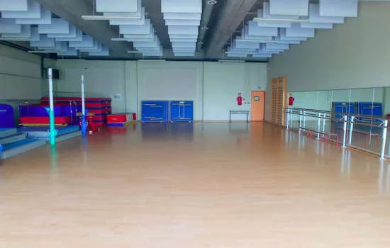 Gymnase - photo 2