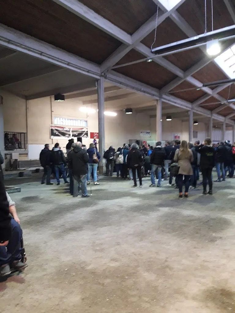 Comité Départemental de Pelote Basque Haute-Garonne - photo 3