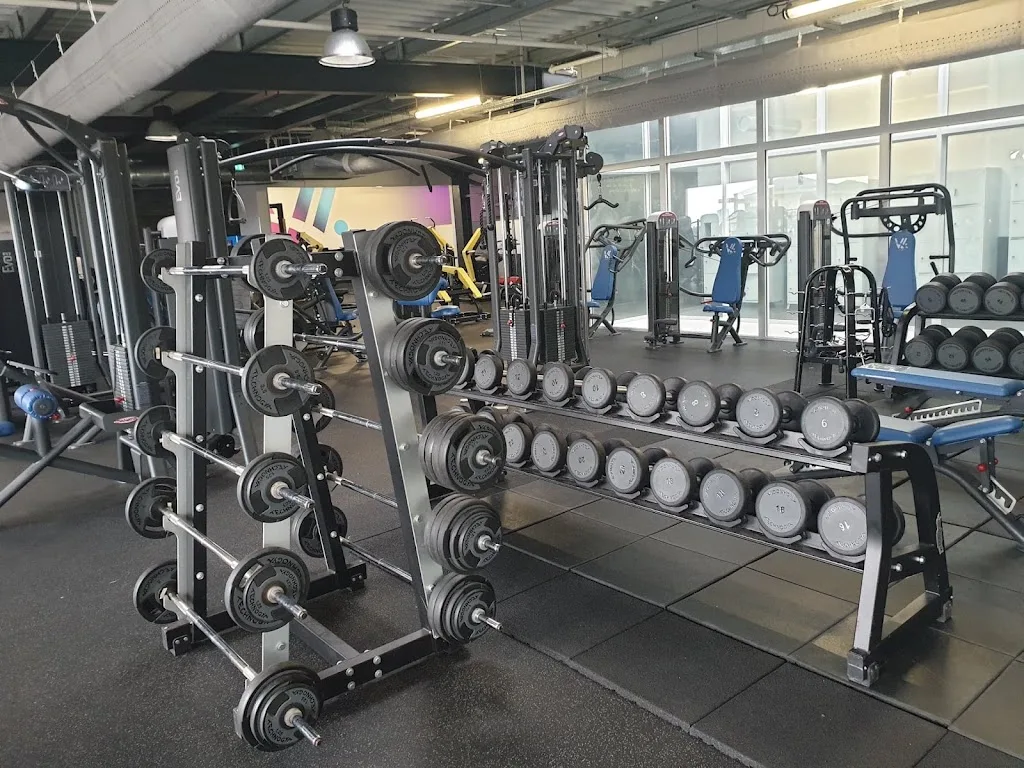 Born to Fit - photo 1