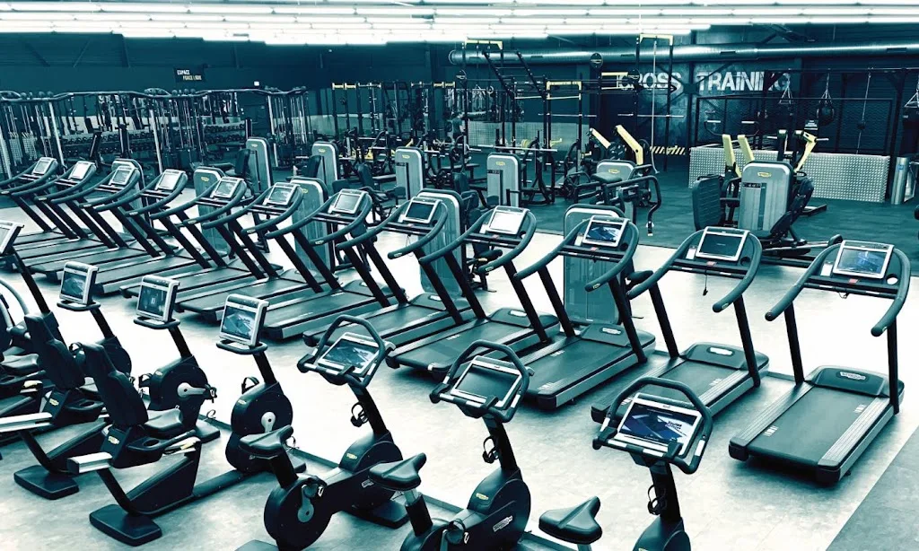 ONELIFE Fitness - photo 1