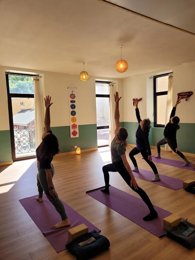 Dharma Yoga - photo 2