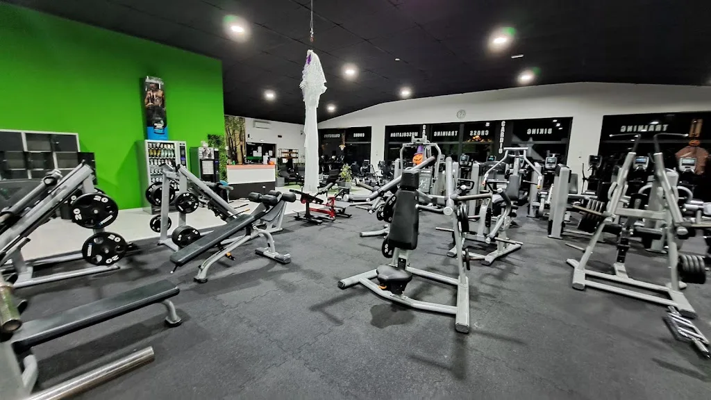 HF FITNESS
