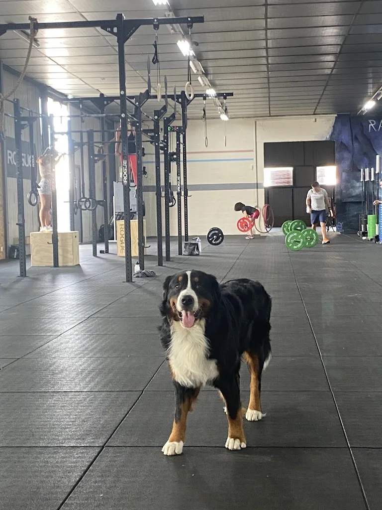 RAGNARÖK GYM - photo 1