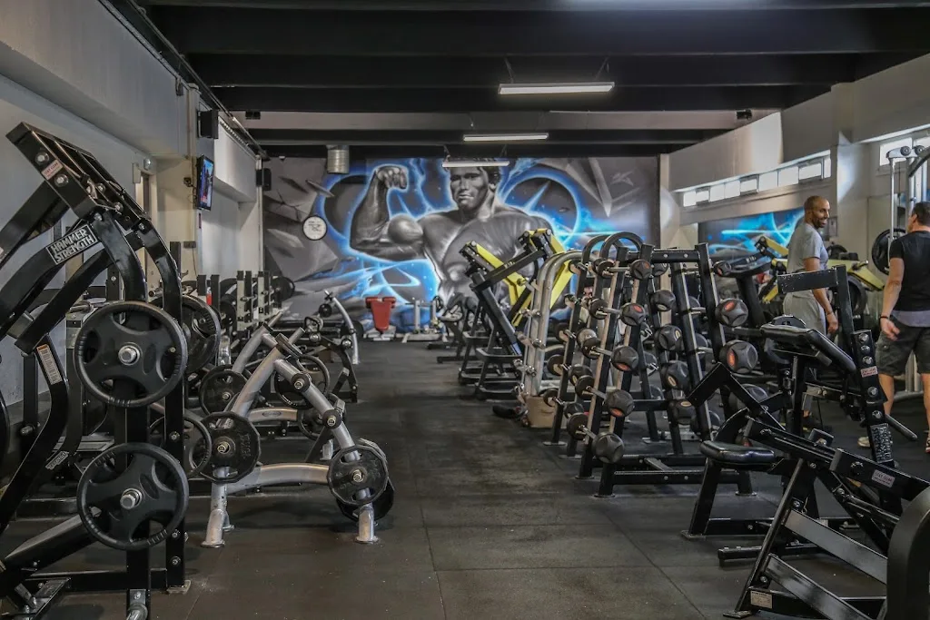 Body Staff Gym - photo 3