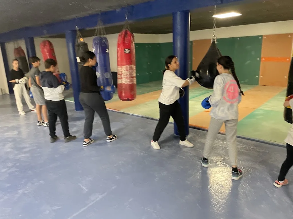 Académie de Boxe Citoyenne - photo 2