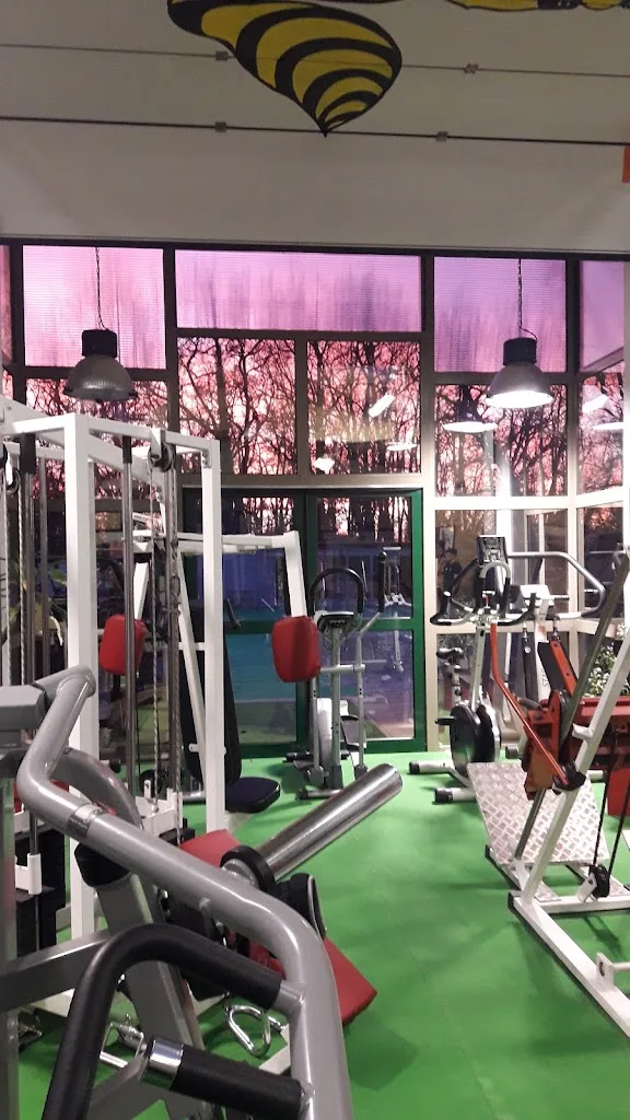 Vitaform coaching muscu & fitness - photo 2