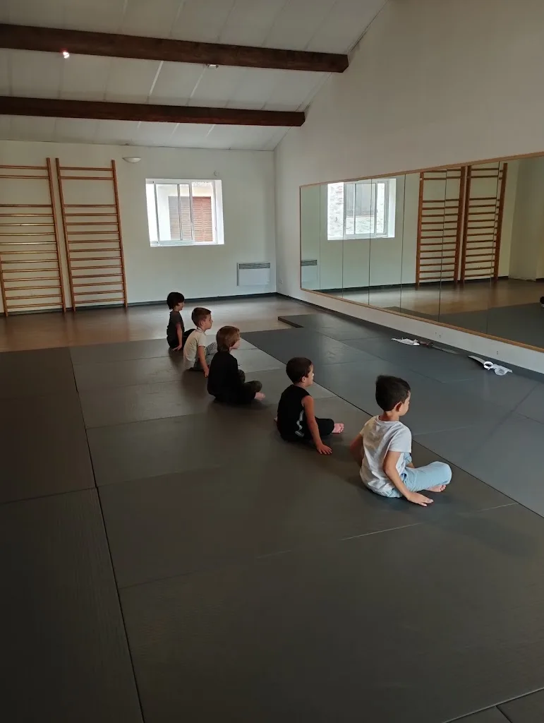 Tao Gym - photo 1