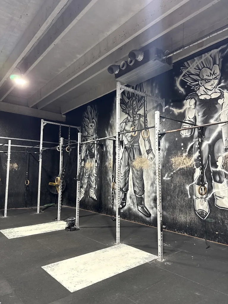 Come And Play Crossfit Hyrox Crosstraining - photo 3