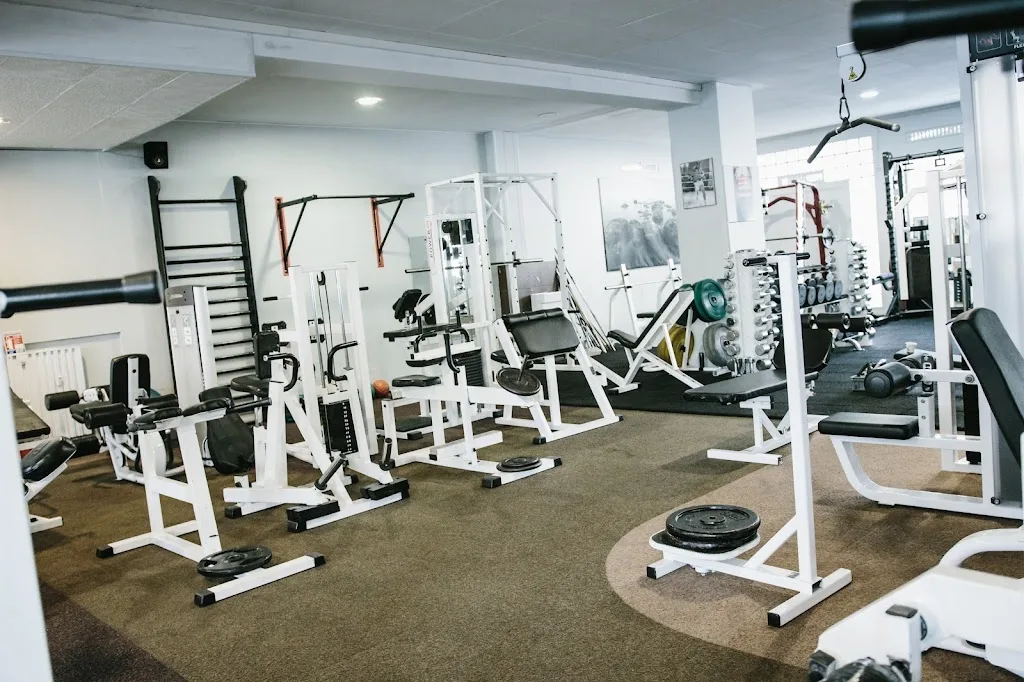 Espace Viking - photo 1