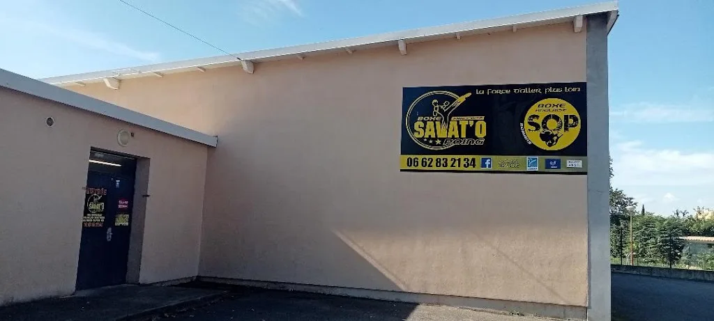SAVATOPOING26 - photo 1