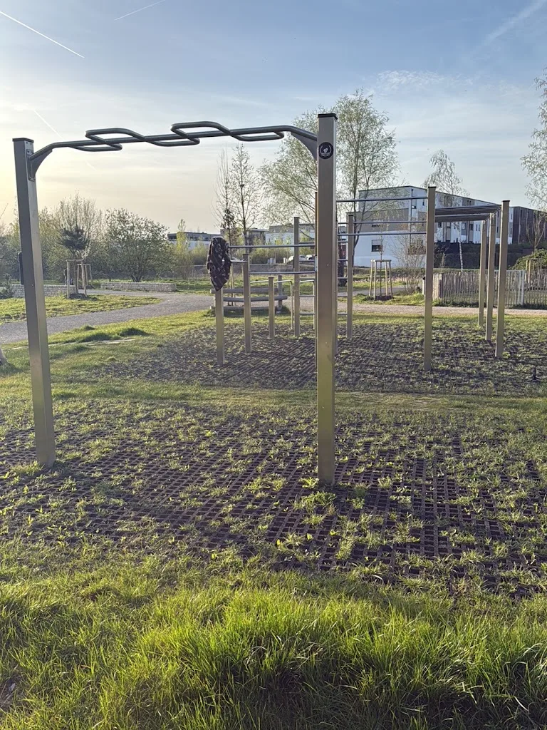 Calisthenics park - photo 2