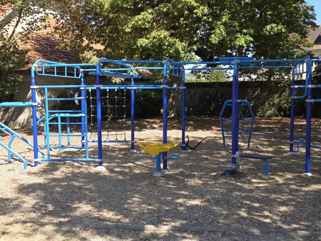 Street Workout Calisthenics - photo 1