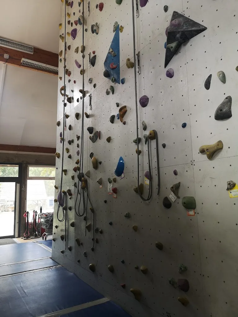 ASCPA - photo 1
