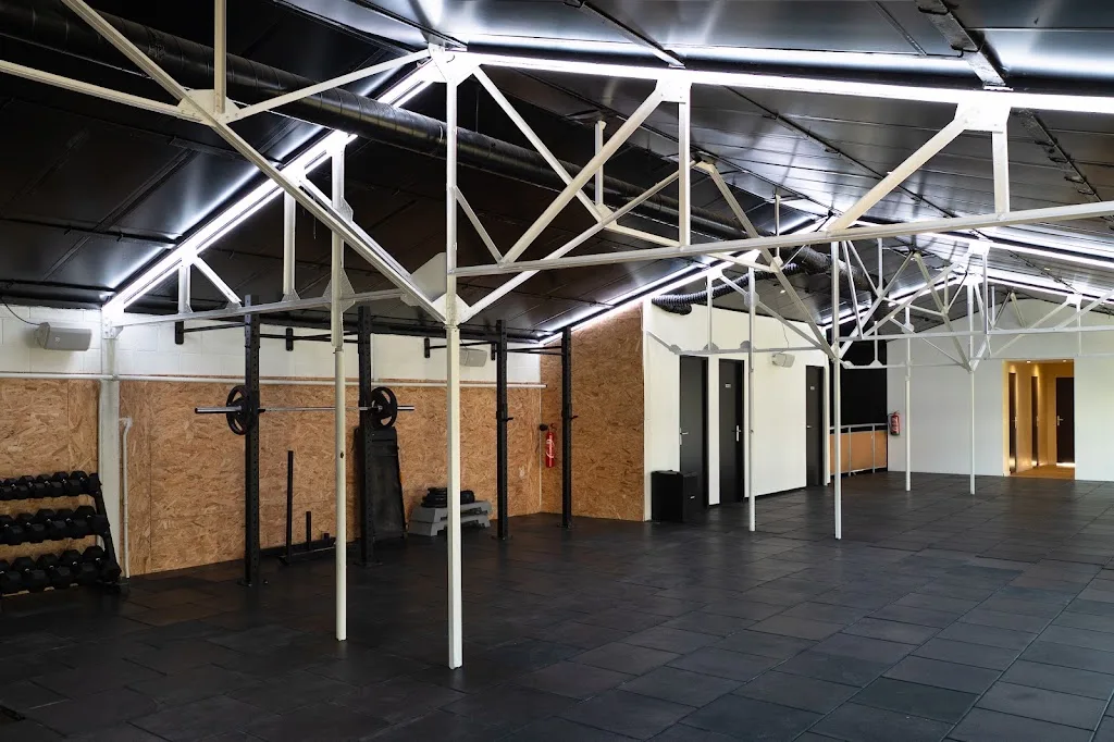 Optimum Studio - photo 2
