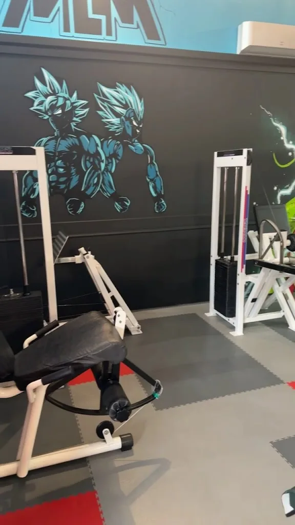 Musculation Les Mees - photo 1