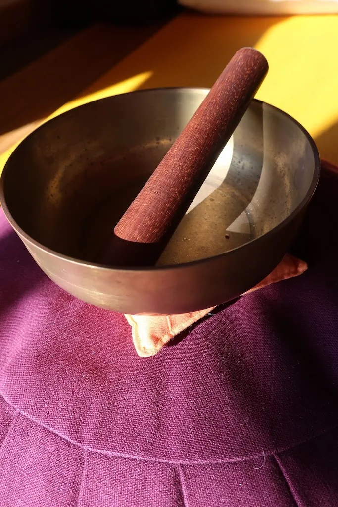 Graines de Zen - photo 1