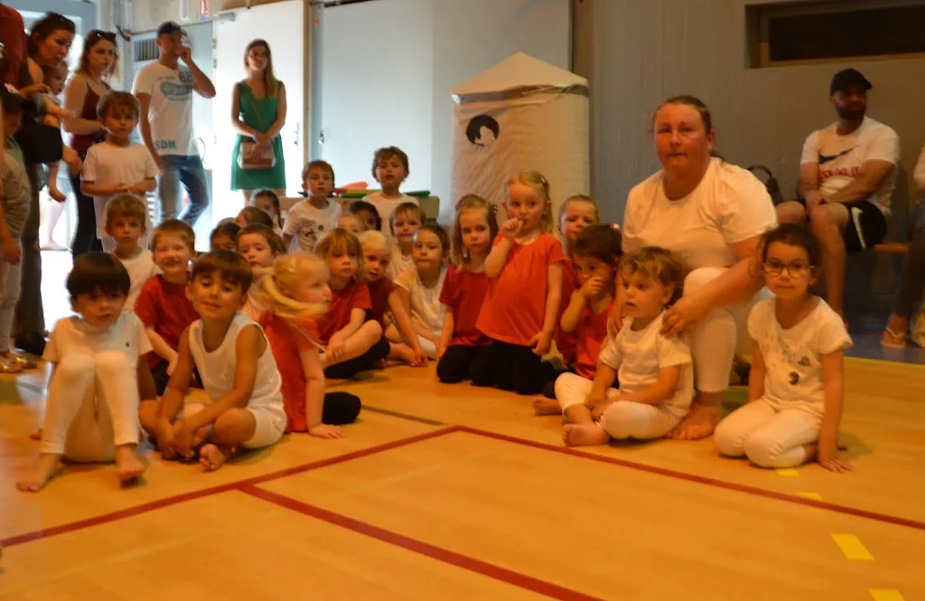 Ensemble Gymnique Montélimar Agglo - photo 1