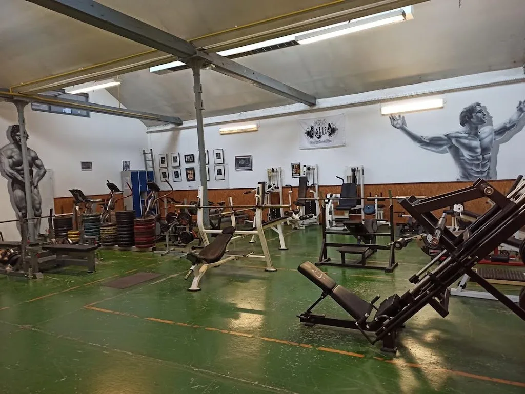 BJ GOLD GYM - photo 3