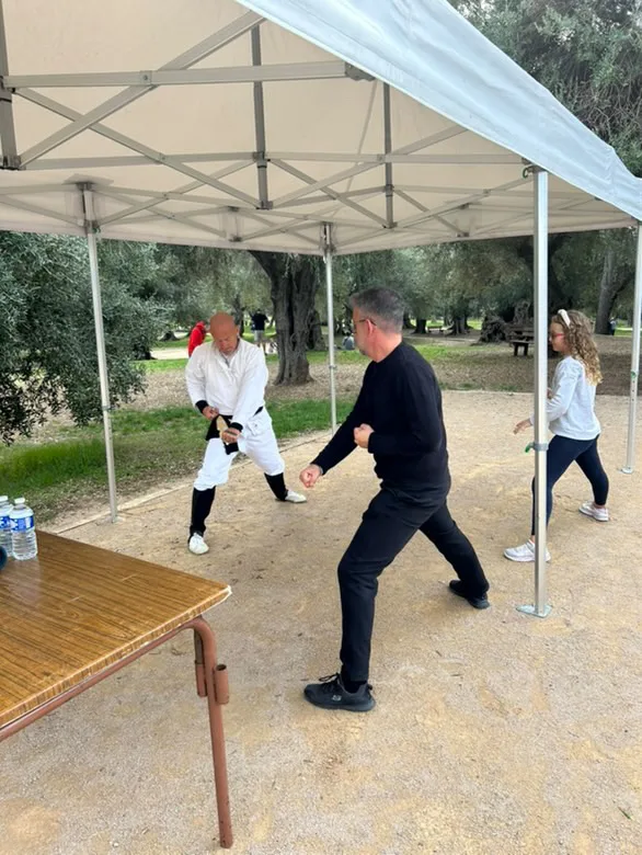 Arrow-Coaching-Academy - photo 1