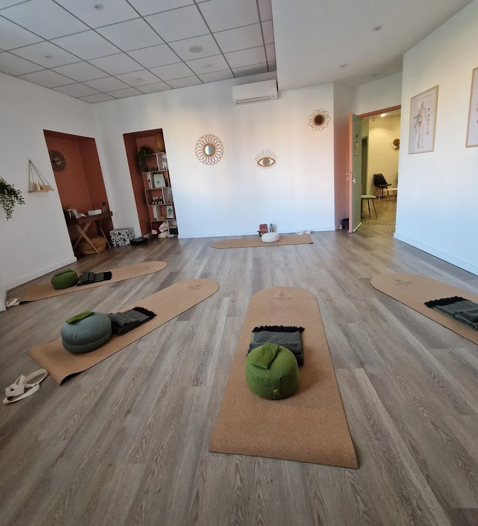 Conscious Yogi - photo 3