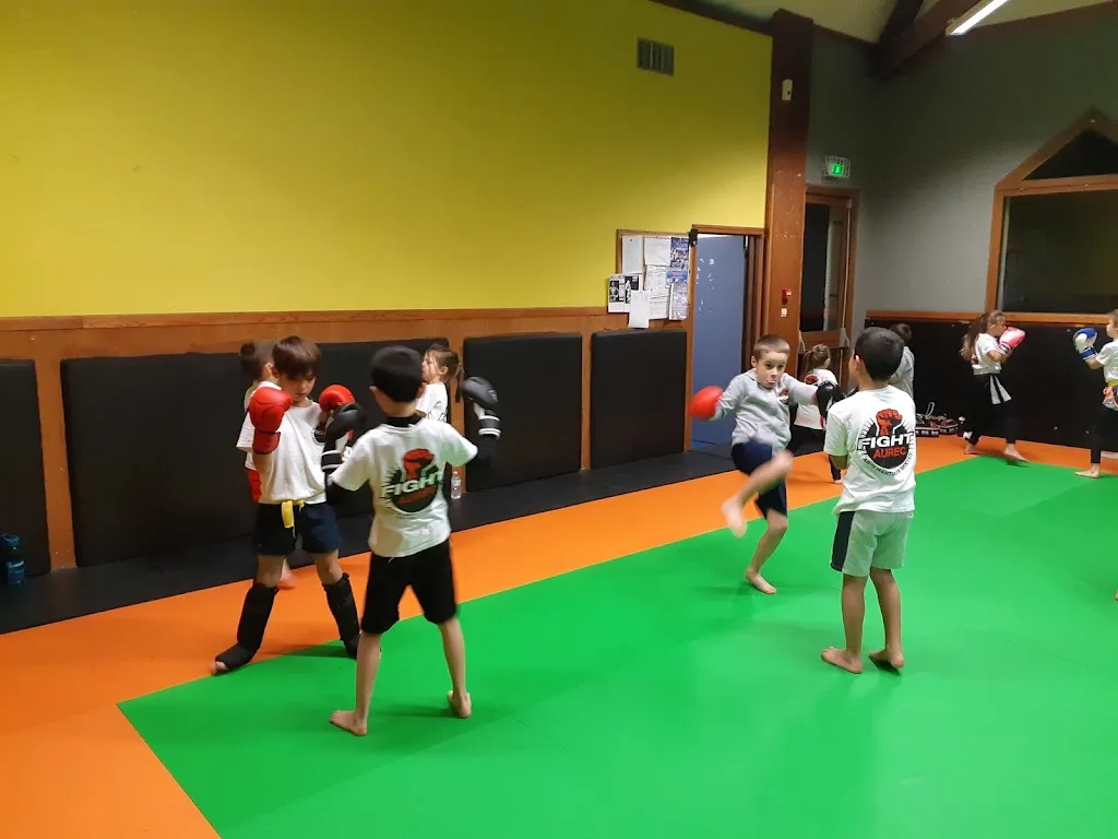 aurec Boxe - photo 1
