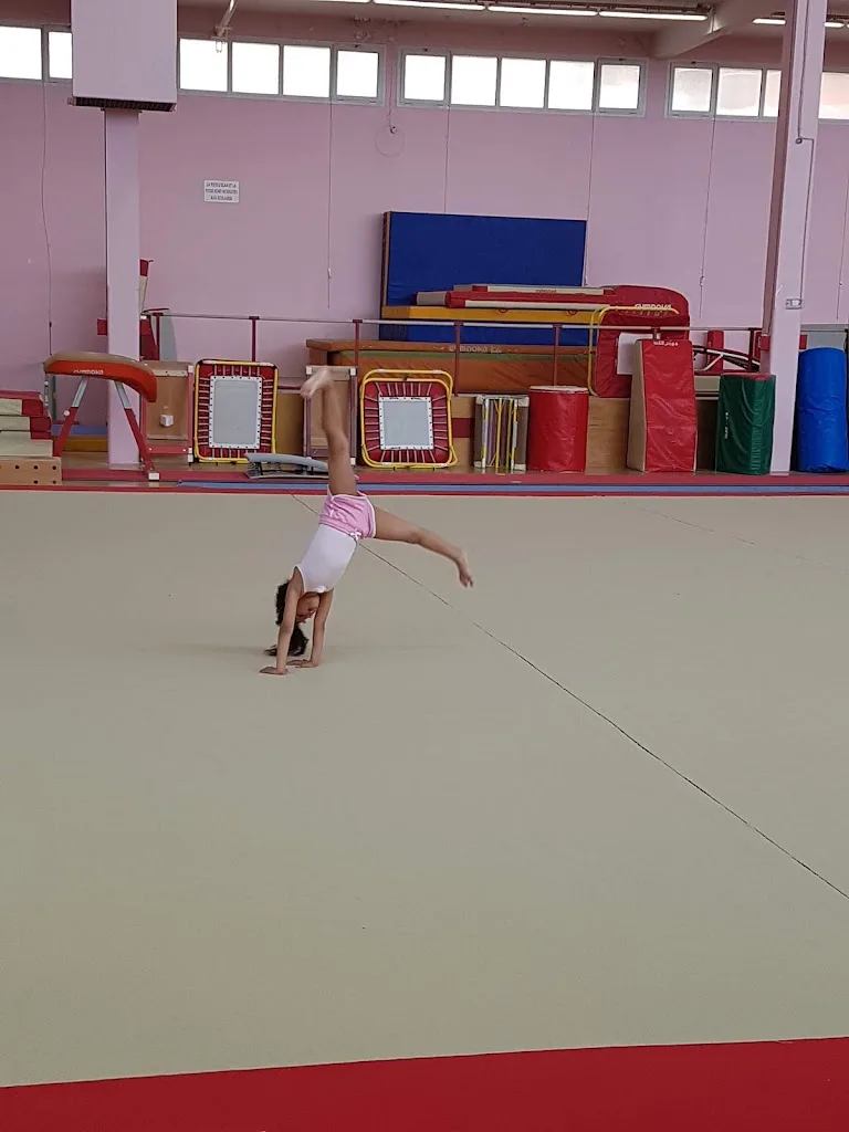 Elan Gymnique de Courbevoie - photo 1