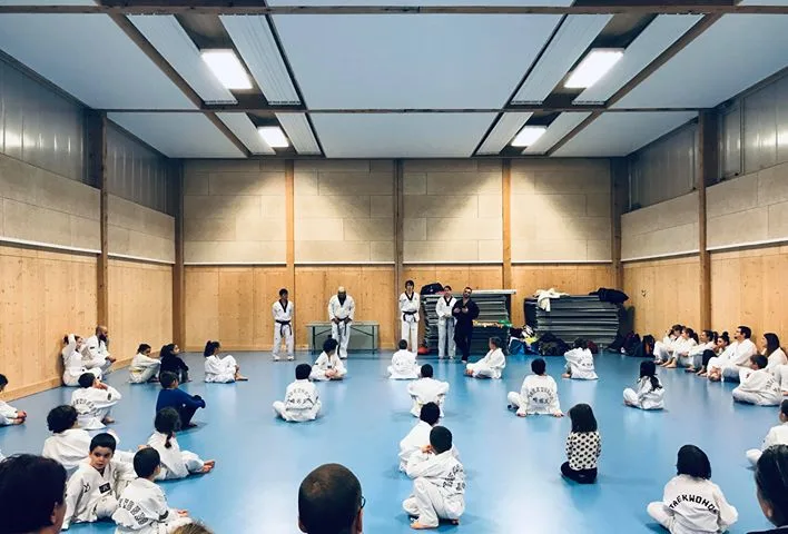 CTS Taekwondo LGL - photo 2