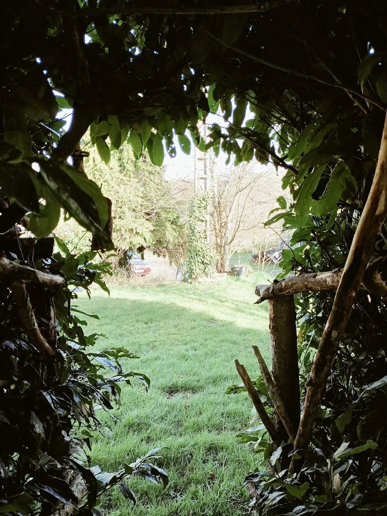 Freedom Monkey - photo 2